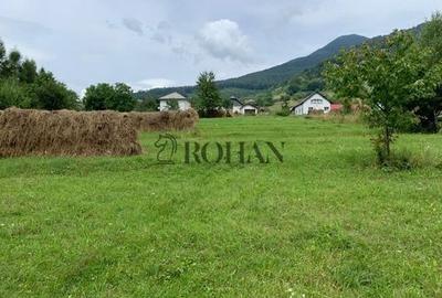 Teren intravilan 5360mp Bistrita Nasaud | Tiha Bârgăului - 2