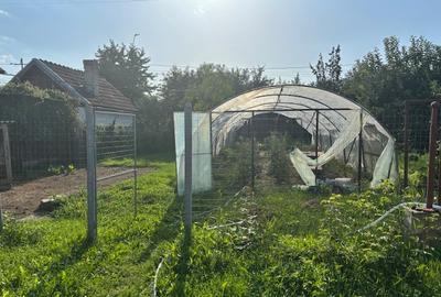 Proprietar  - vand casa la Cristur, judetul Hunedoara - 4