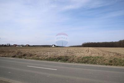 Teren 9,740mp Suceava / Strada Principala - 4