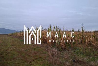Teren Intravilan | 3900 MP | Tălmaciu - 3