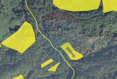 Poiană pentru cabana de vanzare intravilan Coas - 8