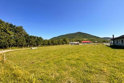 Teren intravilan 700 mp, Șieu-Măgheruș, la 15 km de Bistrița - 3