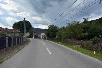 Teren plat-intravilan -3800 mp, cu pădurice și ieșire la râu! - 32