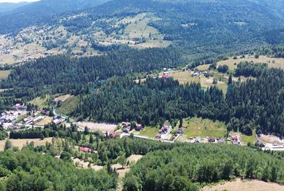 Teren pentru investitie turism, cu izvor si acces la utilitati, zona Arieseni - 1