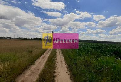 Teren 715mp în Snagov lângă Equestria - 1