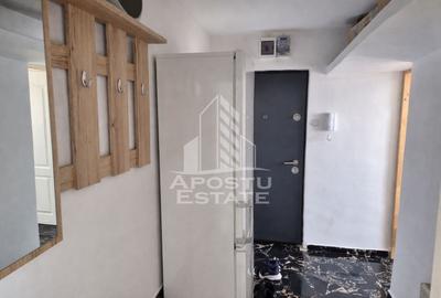 Apartament cu 3 camere,mobilat si utilat cu boxa,Bulevardul Cetatii - 4