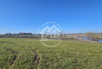 Loturi de Casa pe malul Lacului Creața, Dascălu – 460 mp + Drum servitute - 8