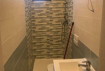De vânzare Casă 3 camere, 2 baii, curte propie, cartier parneava Arad - 11