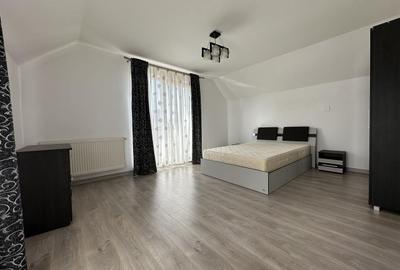 Casă de închiriat I  5 camere I 2 băi I curte I  zona UMF USMV - 3
