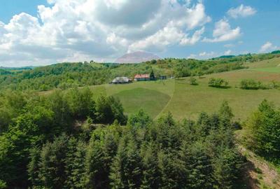 De vânzare casă cu teren și pădure 55706 mp - Șinteu, Valea Târnei - 15