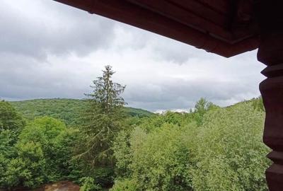 Complex turistic in Valcele-Covasna - 14