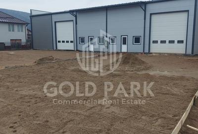 Spatiu Industrial - Gilau - Constructie Noua - 26