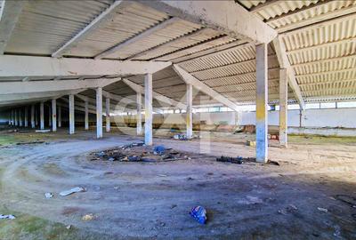 Hala industriala 2000 mp + teren 2776 mp | Rasnov – zona industriala Chimica - 5