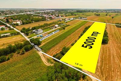 Teren intravilan construibil Bolintin Deal 5000 mp – dublă deschidere - 1