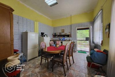 Casa P+1+M, Lipova - 4