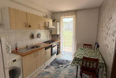 Apartament 1 camera decomandat zona Porii - 2