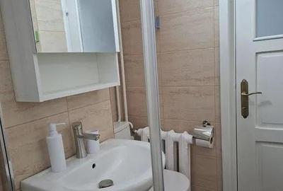 Apartament 2 Camere Dacia - Bicaz - 10