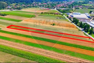 TEREN extravilan- 6 E/MP- CU PLANTATIE DE TRANDAFIRI! Teliu 7000mp - 11