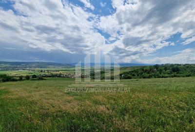 Teren extravilan | De vanzare | 1400 mp | 13 ml deschidere | Paclisa - 8
