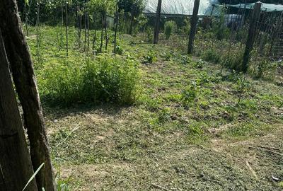 Casă cu teren de 5.700 mp, Pădureni,se accepta si schimb cu apt in Iasi - 11
