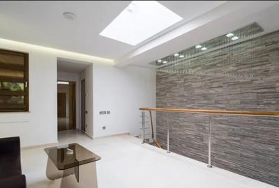 Vila Premium de Inchiriat | Curte | 120 mp | Curte 250 mp | Zona Tei - 15