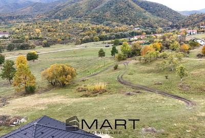 Teren intravilan 1250mp  cu PUZ in Cisnădioara - 4