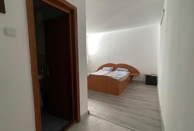 HOTEL DE INCHIRIAT CU 14 CAMERE SI PARCARE BORS E60 - 15