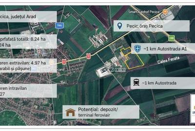 DE VÂNZARE – Teren Extravilan și Intravilan 8,24 ha – Pecica, Județul - 1