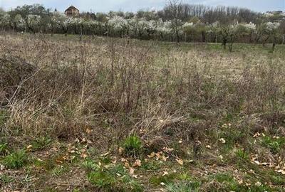 Teren intravilan de 616 mp, în Săldăbagiu de Munte