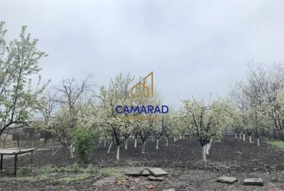 Casă de vânzare în Tămădău Mare, jud. Călărași – Strada Principală - 14