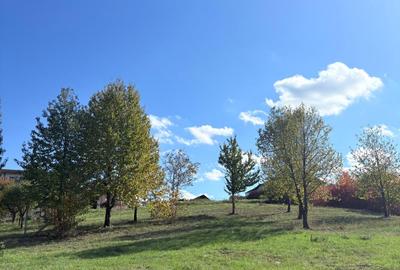 Teren pretabil pentru pensiune,Baile 1 Mai,Oradea - 1