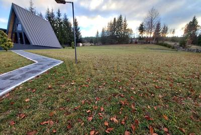 Teren 34,5 ari + cabana A-frame Colibita – ideal pentru resort, spa sau pensiune - 11