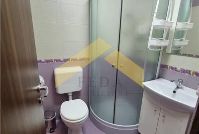 Apartament de inchiriat Aradul Nou - 7