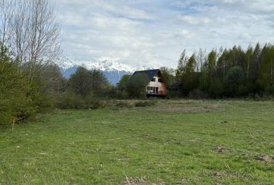 Teren intravilan 500 mp sau 1000 mp în Bran –Tohanita cu parau langa - 10