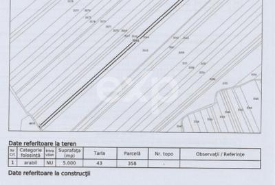 Teren agricol extravilan de vânzare – 22.960 mp – Măreș, Albota, Argeș - 2