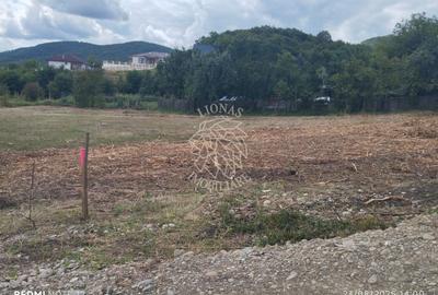 Teren 1200 mp-pretabil casa si gradina-Viisoara - 2