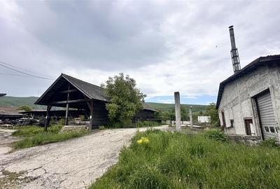 Hale industriale Teliu - 145000e  200.000e  450000e - 6