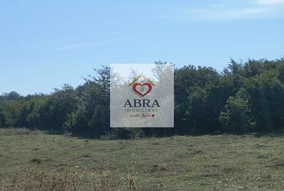 Teren intravilan investitie - 1