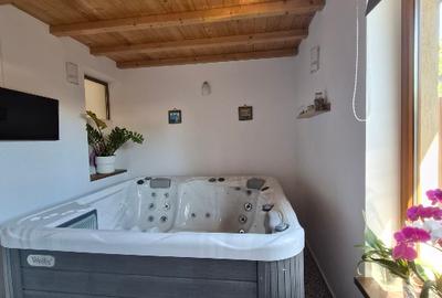 Proprietate cu 2 locuinte independente, spa privat, teren generos -Tunari Centru - 16