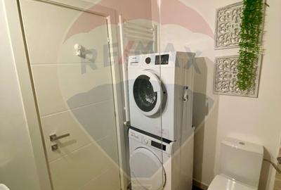Apartament 3 camere Herastrau Soseaua Nordului - 11