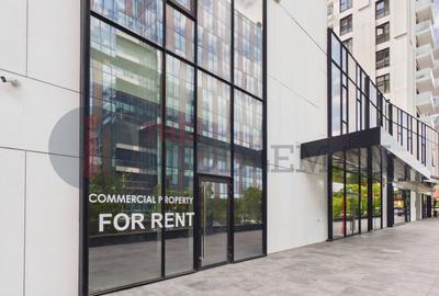 Spațiu cu terasă generoasă 124 mp | Parter business hub Cotroceni - 1