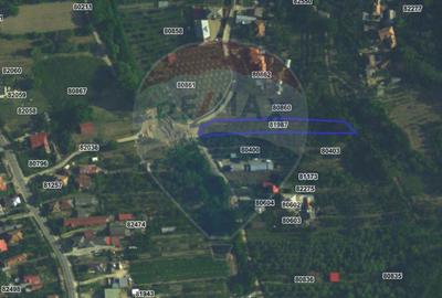 Teren 1.736mp Chițești-AG, Ideal Casă, Deschidere la Asfalt, Utilități - 10