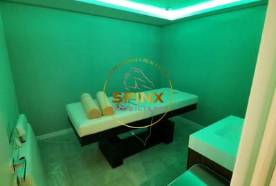 Kiseleff, to let, pet friendly, 5 rooms, 250 sqm, 67sqm terraces, 2 parking lots - 25