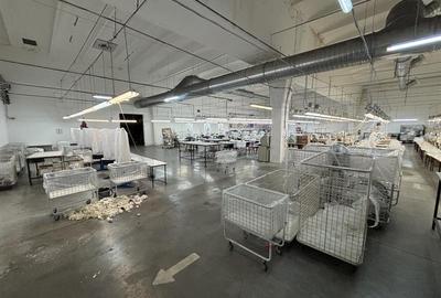 Complex industrial 30130  mp construit - Teren 42558 mp - 8