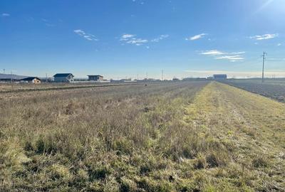 Teren agricol extravilan de 5000 mp, în Calea București