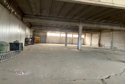 Calea Sagului, Hala industriala cu acces tir - 5