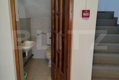 Proprietate 10 camere pentru investitie, teren 800 mp, Comuna Mociu - 18