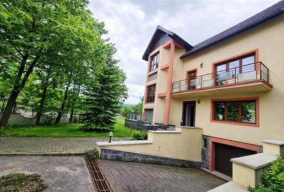 Vila impetuoasa pe 700mp teren:Spatiu versatil pentru locuinta/afacere Premium - 12