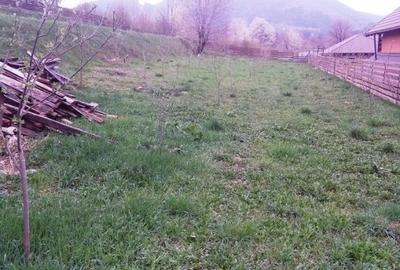 Teren Viisoara, Al.cel Bun - 1