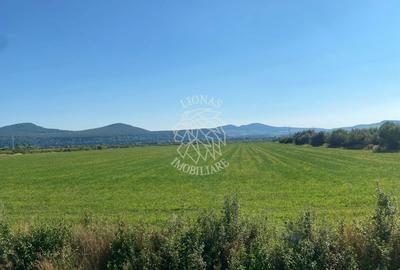Teren 3000 mp la DN 17-investitie-Sieu-Magherus - 1